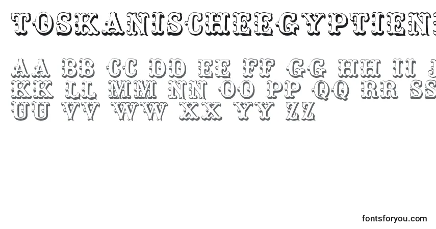 Toskanischeegyptienneinitialen (117638)フォント–アルファベット、数字、特殊文字