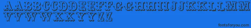 Toskanischeegyptienneinitialen Font – Black Fonts on Blue Background