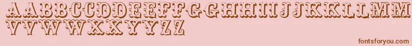 Toskanischeegyptienneinitialen Font – Brown Fonts on Pink Background