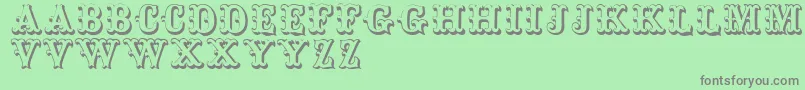 Toskanischeegyptienneinitialen Font – Gray Fonts on Green Background