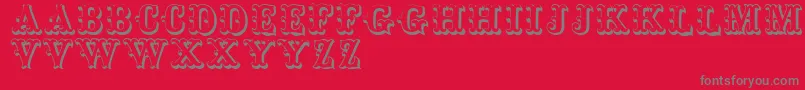 Toskanischeegyptienneinitialen Font – Gray Fonts on Red Background