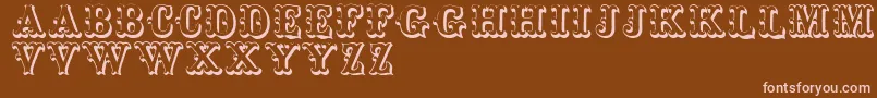 Toskanischeegyptienneinitialen Font – Pink Fonts on Brown Background