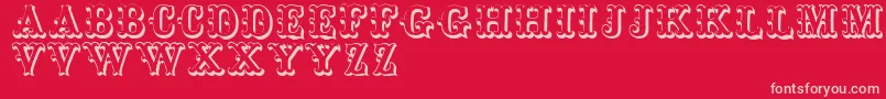 Toskanischeegyptienneinitialen Font – Pink Fonts on Red Background