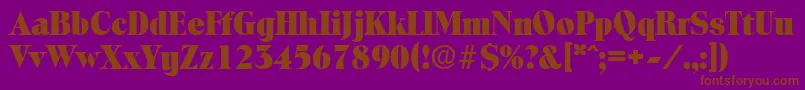 ToledoExtrabold Font – Brown Fonts on Purple Background