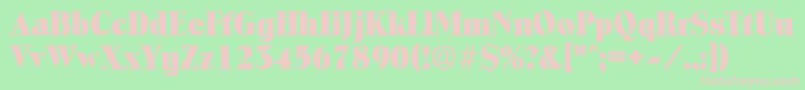 ToledoExtrabold Font – Pink Fonts on Green Background