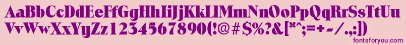 ToledoExtrabold Font – Purple Fonts on Pink Background