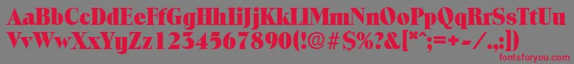 ToledoExtrabold Font – Red Fonts on Gray Background