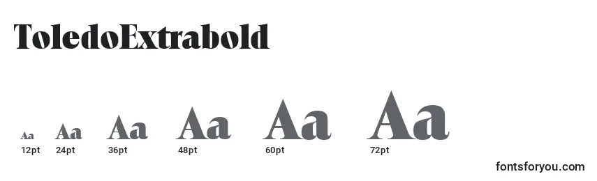 ToledoExtrabold Font Sizes