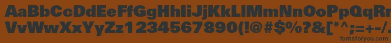 UniversltstdXblack Font – Black Fonts on Brown Background
