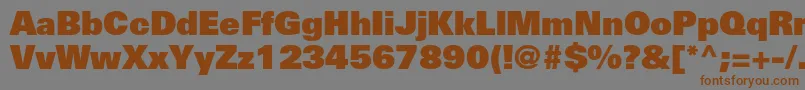 UniversltstdXblack Font – Brown Fonts on Gray Background
