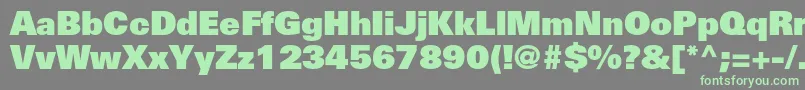 UniversltstdXblack Font – Green Fonts on Gray Background