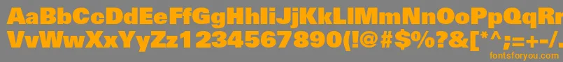 UniversltstdXblack Font – Orange Fonts on Gray Background