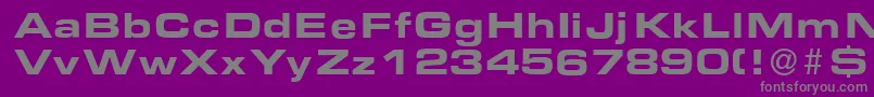 EurasiaexBold-Schriftart – Graue Schriften auf violettem Hintergrund