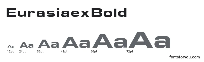 EurasiaexBold Font Sizes
