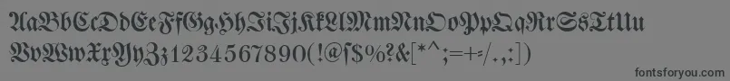 Dswalbaumfraktur Font – Black Fonts on Gray Background