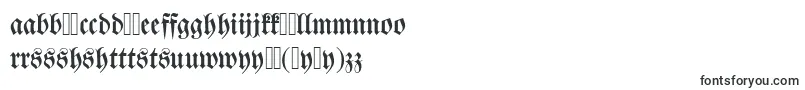 Dswalbaumfraktur Font – Hausa Fonts