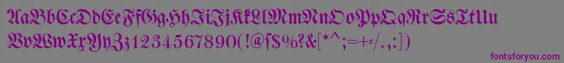 Dswalbaumfraktur Font – Purple Fonts on Gray Background