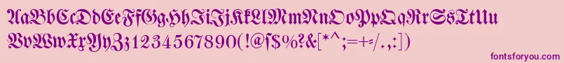 Dswalbaumfraktur Font – Purple Fonts on Pink Background