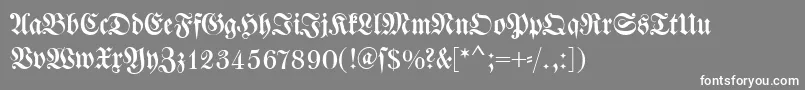 Dswalbaumfraktur Font – White Fonts on Gray Background