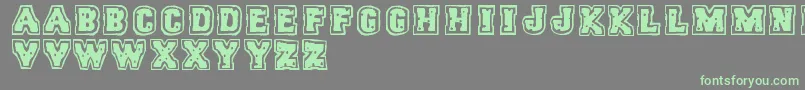 Trigun Font – Green Fonts on Gray Background