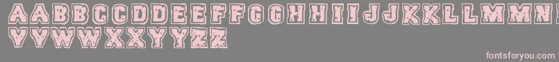 Trigun-Schriftart – Rosa Schriften auf grauem Hintergrund