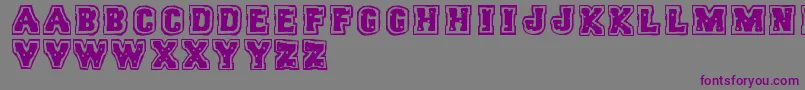 Trigun Font – Purple Fonts on Gray Background