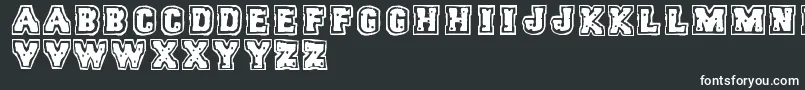 Шрифт Trigun – белые шрифты на чёрном фоне