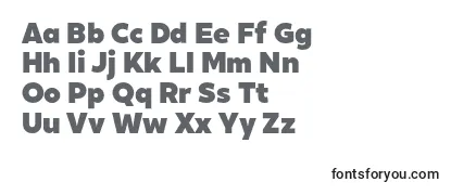 Review of the XxiigeomdemoBlack Font
