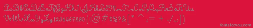 CalligraphyHandMade Font – Gray Fonts on Red Background