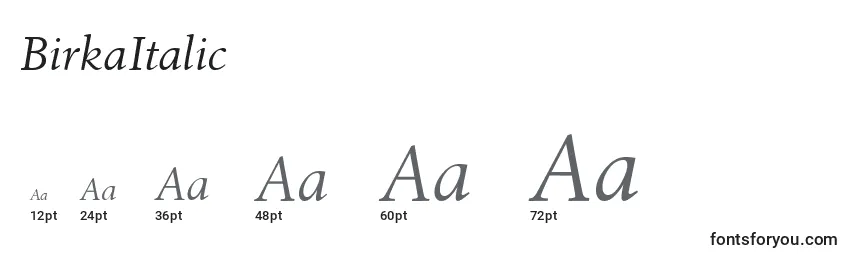 Размеры шрифта BirkaItalic