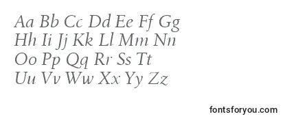 Обзор шрифта BirkaItalic