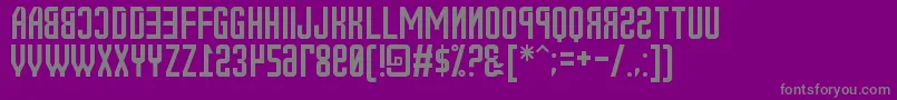 NewRussia2108St Font – Gray Fonts on Purple Background