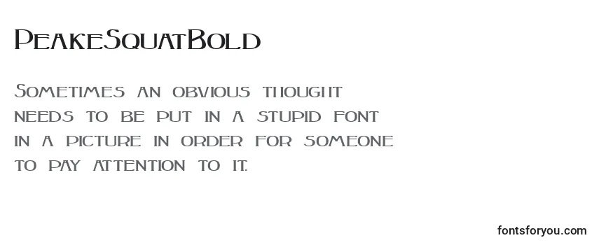 PeakeSquatBold Font