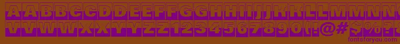 AGrotictitulcmbwhv Font – Purple Fonts on Brown Background