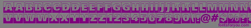 Шрифт AGrotictitulcmbwhv – фиолетовые шрифты на сером фоне