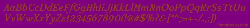 Accanthisadfstdno2Bolditalic Font – Brown Fonts on Purple Background