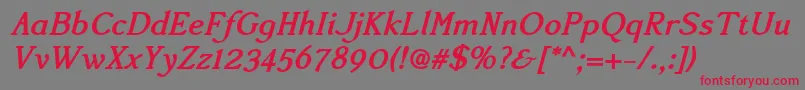 Accanthisadfstdno2Bolditalic Font – Red Fonts on Gray Background
