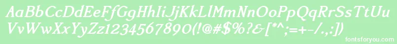 Accanthisadfstdno2Bolditalic Font – White Fonts on Green Background