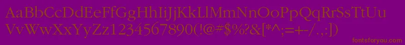 ItcgaramondstdLt Font – Brown Fonts on Purple Background