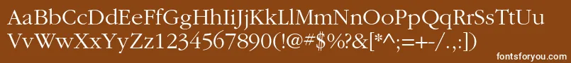 ItcgaramondstdLt Font – White Fonts on Brown Background