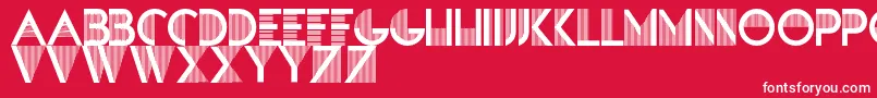 SandreRegular Font – White Fonts on Red Background