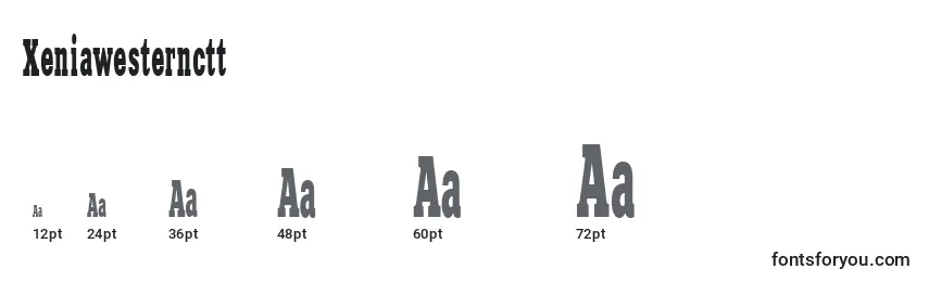 Xeniawesternctt Font Sizes