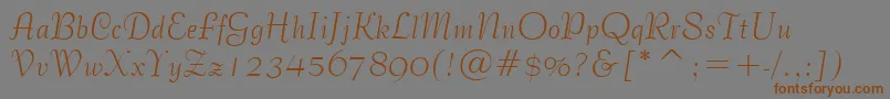 BernhardTangoBt Font – Brown Fonts on Gray Background