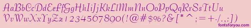 BernhardTangoBt Font – Purple Fonts on Pink Background