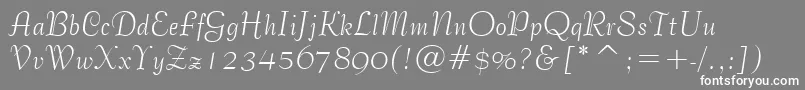 BernhardTangoBt Font – White Fonts on Gray Background
