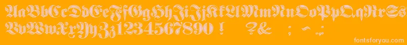 ProclamateIncisedHeavy Font – Pink Fonts on Orange Background