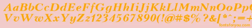 KudrashovcttBolditalic Font – Orange Fonts on Pink Background