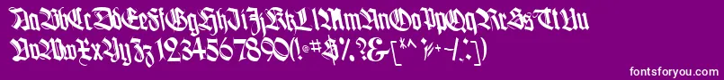 fuente BoogieBold – Fuentes Blancas Sobre Fondo Morado