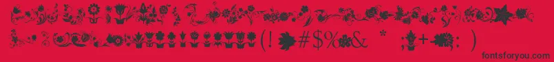 フォントFotograamiFlower – 赤い背景に黒い文字