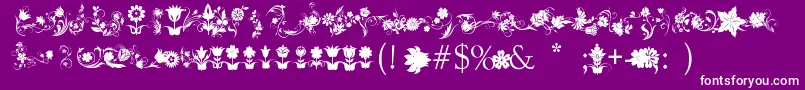 FotograamiFlower Font – White Fonts on Purple Background